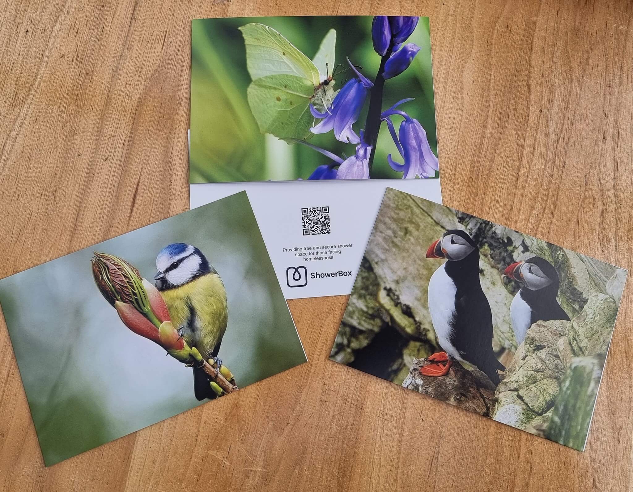 Beccy Pini fundraising cards